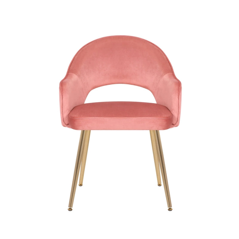 Modern Velvet Dining Chair Open Back Gilded Metal Legs Aqua Grey Rose