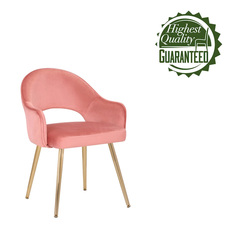 Modern Velvet Dining Chair Open Back Gilded Metal Legs Aqua Grey Rose