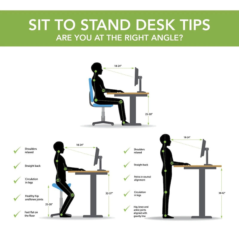 55W Electric Height Adjustable Standing Desk 4 Presets Anti-Collision Black White Maple