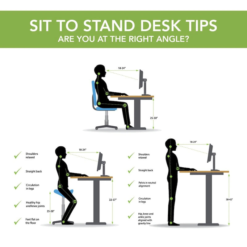 55W Electric Height Adjustable Standing Desk 4 Presets Anti-Collision Black White Maple